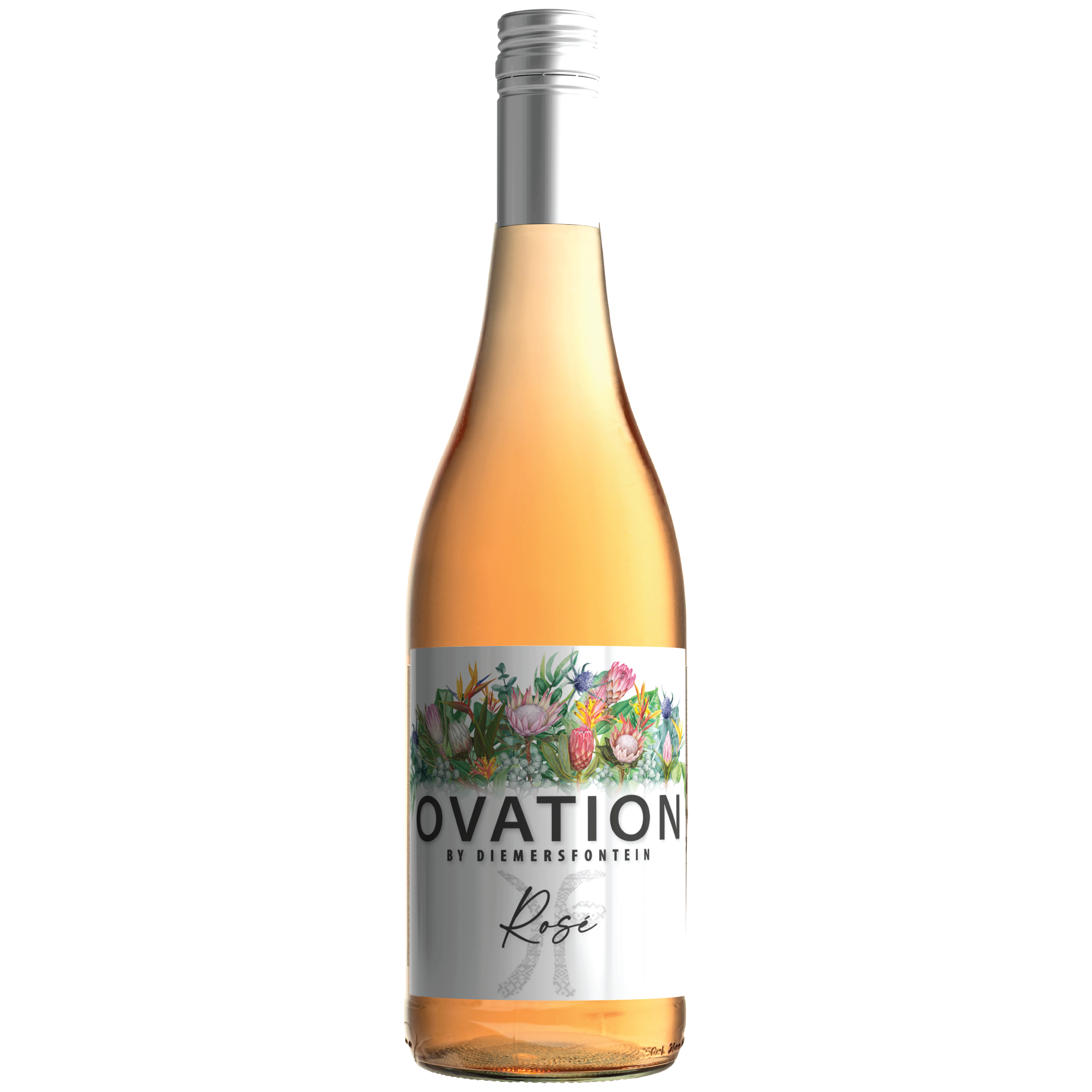 Featured image for “OVATION ROSÉ 2023<br>– NEW RELEASE –”
