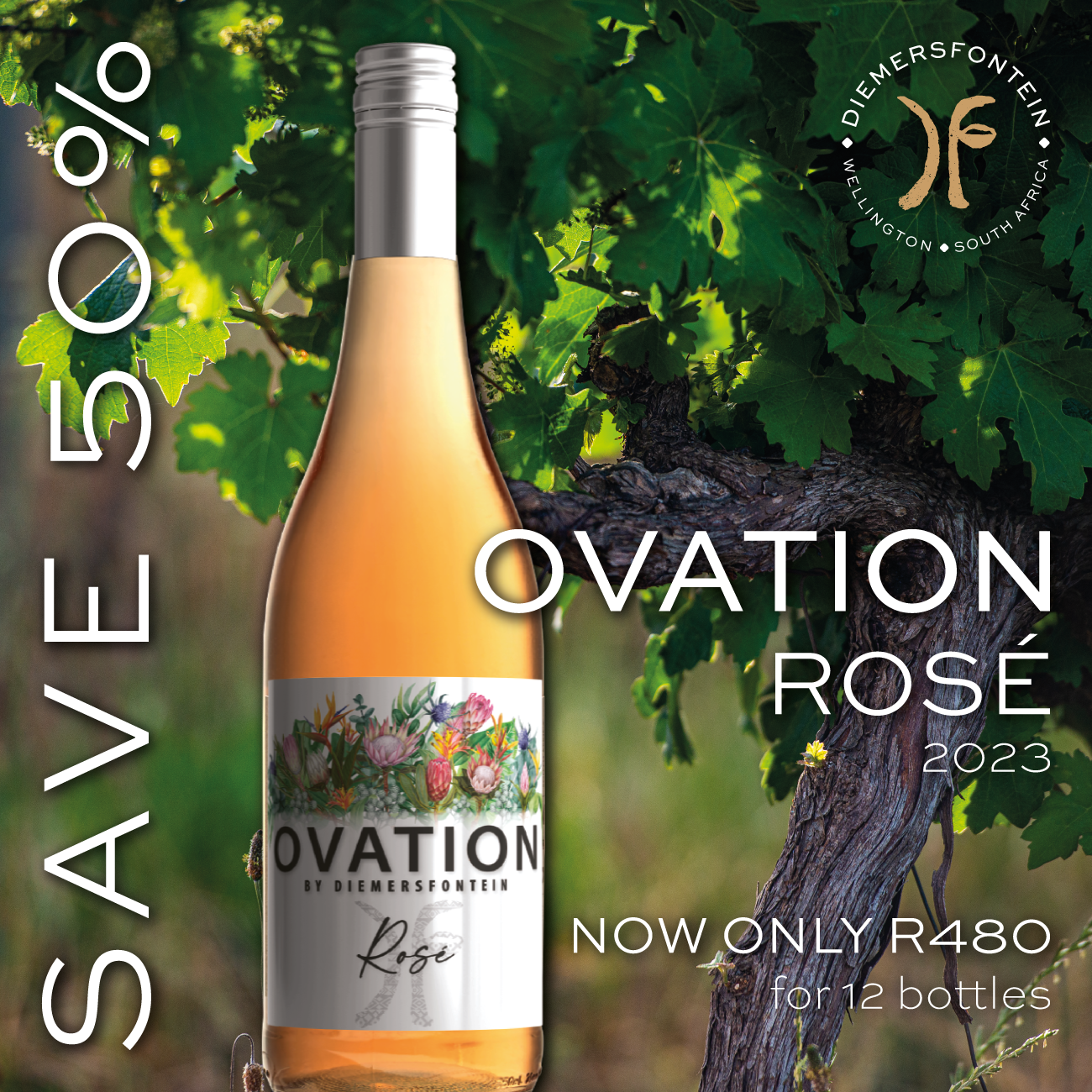 Featured image for “OVATION ROSÉ 2023”